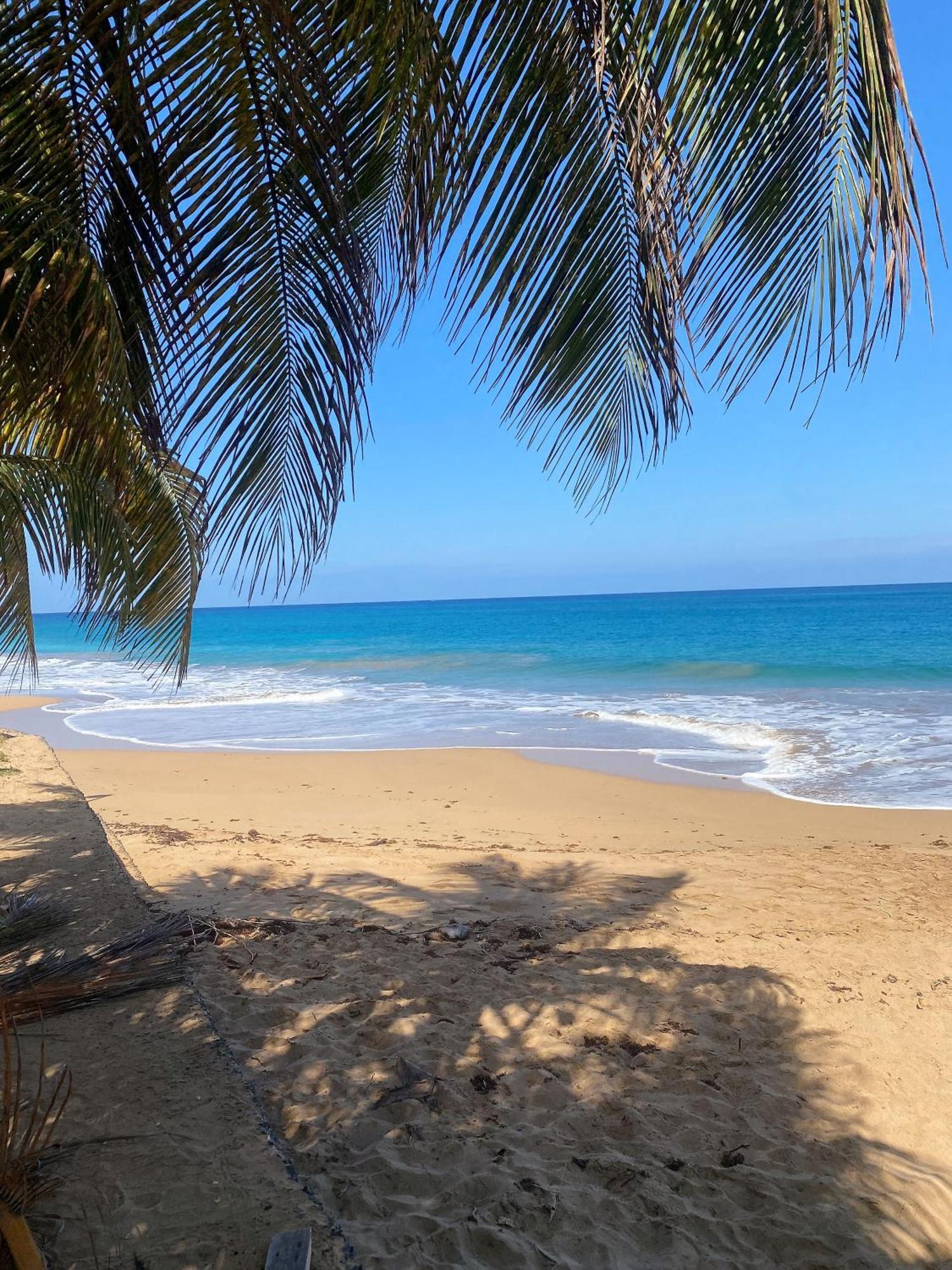 Auberge K-Wan Hostel - Proche Plages 德赛 外观 照片